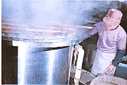 3.gif